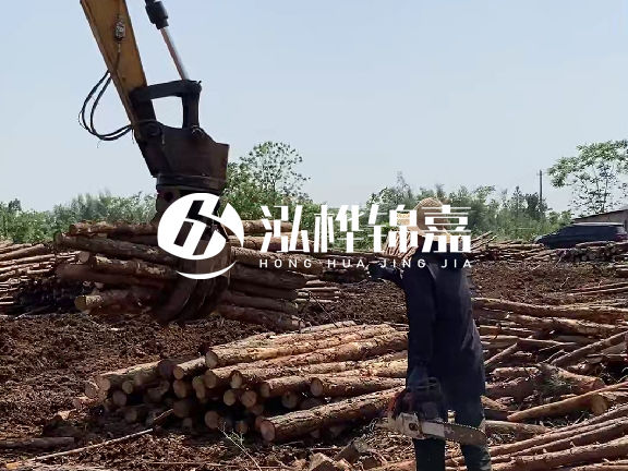 長沙泓樺錦嘉生態(tài)環(huán)境工程有限公司 松木樁生產(chǎn)基地實(shí)力介紹
